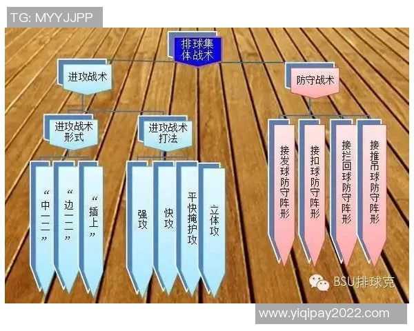 广州排球队区域防守战术解析与深度剖析